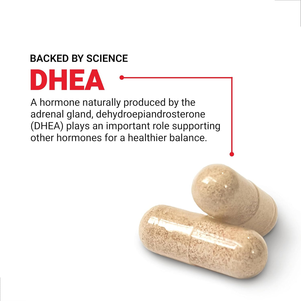 Force Factor DHEA 25mg – Hormone Balance & Mood Support – 100 Vegan Capsules - görsel 3