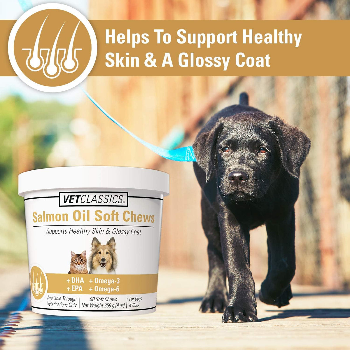 Vet Classics Salmon Oil Pet Supplement for Healthy Skin and Glossy Coats – Soft Chews for Dogs and Cats (90 Count) - görsel 3