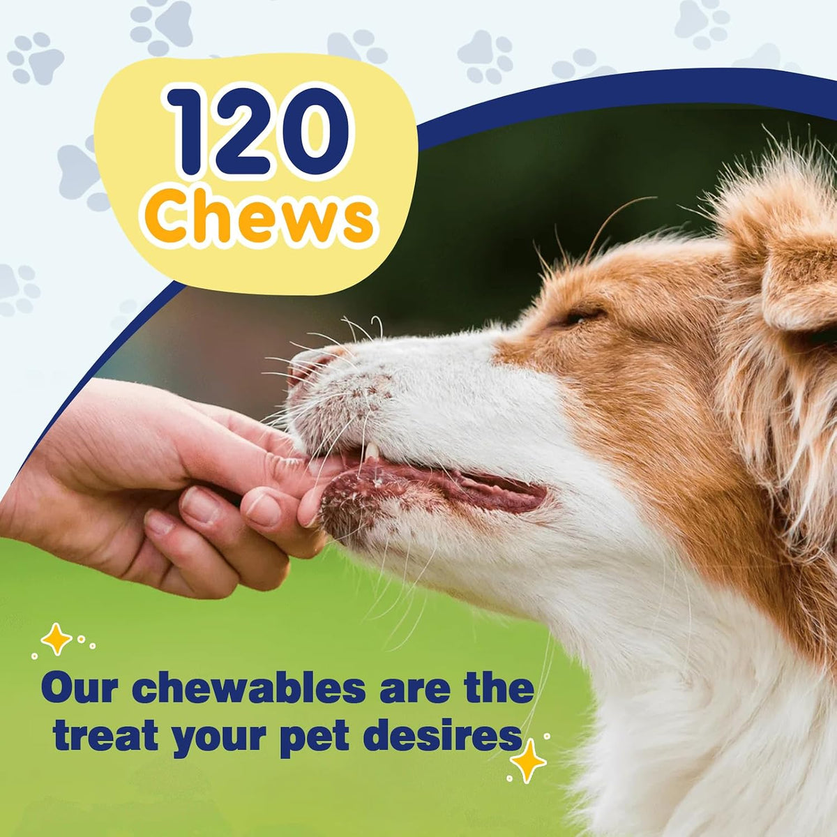 Omega-3 for Dogs with Salmon Oil, 120 Chewable Fish Oil Chews - görsel 8