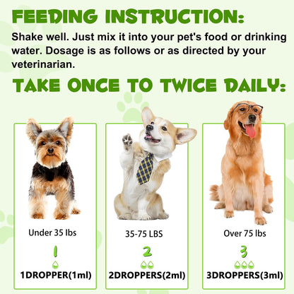 Probiotics for Dogs, 3-in-1 Dog Probiotics, Dog Probiotics for Digestive Support, Dog Probiotic Supplements, Pet Probiotics for Dogs, Liquid Probiotics for Dogs | 60 ml