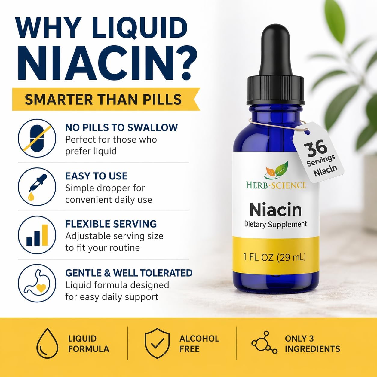 Herb-Science Liquid Vitamin B3 (Niacin) Drops, 30 ml (36 Servings) – Alcohol-Free Niacin Supplement for Energy-Yielding Metabolism Support - görsel 2