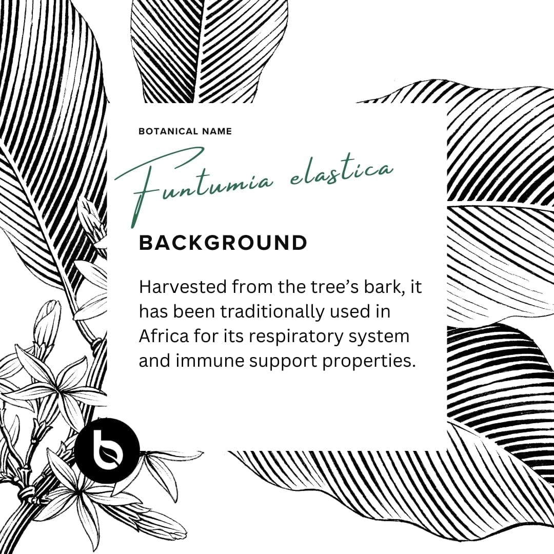BTNX Funtumia Elastica Powder – Respiratory Support Supplement – Supports Healthy Breathing, Clear Airways & Lung Wellness – Traditional African Botanical – 100% Herbal Formula - görsel 3
