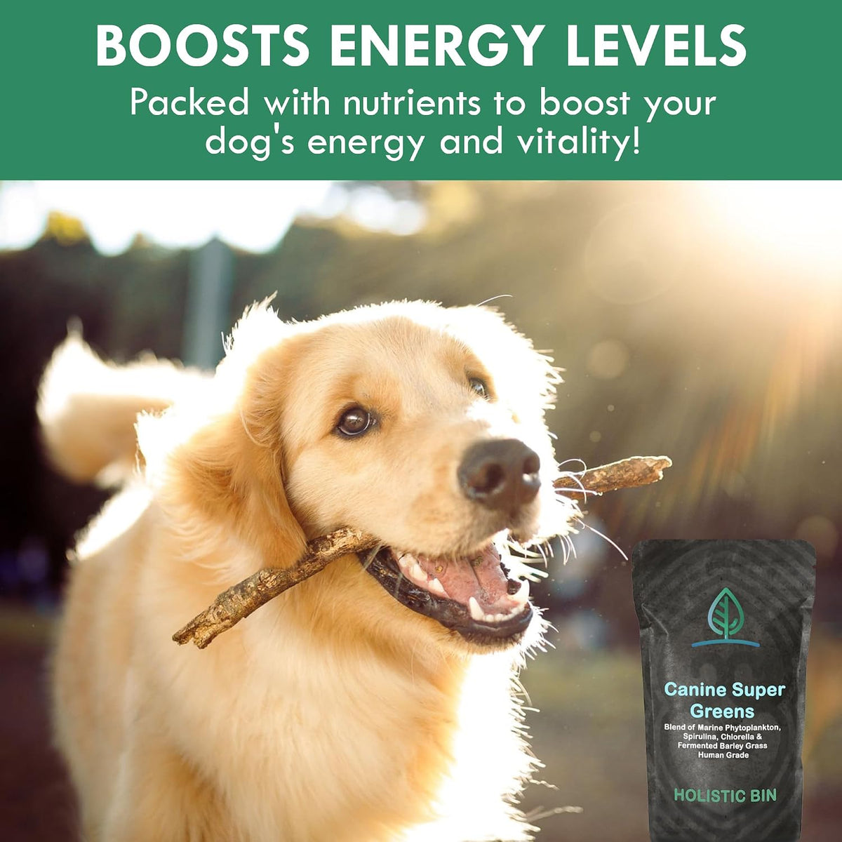 Holistic Bin Canine Super Greens Plant-Based Dog Food Topper | Nutrient-Rich Supplement Powder | Gut Balance, Joint Strength, Digestion, Fresh Breath & Overall Canine Wellness | Greens Powder (50g) - görsel 5