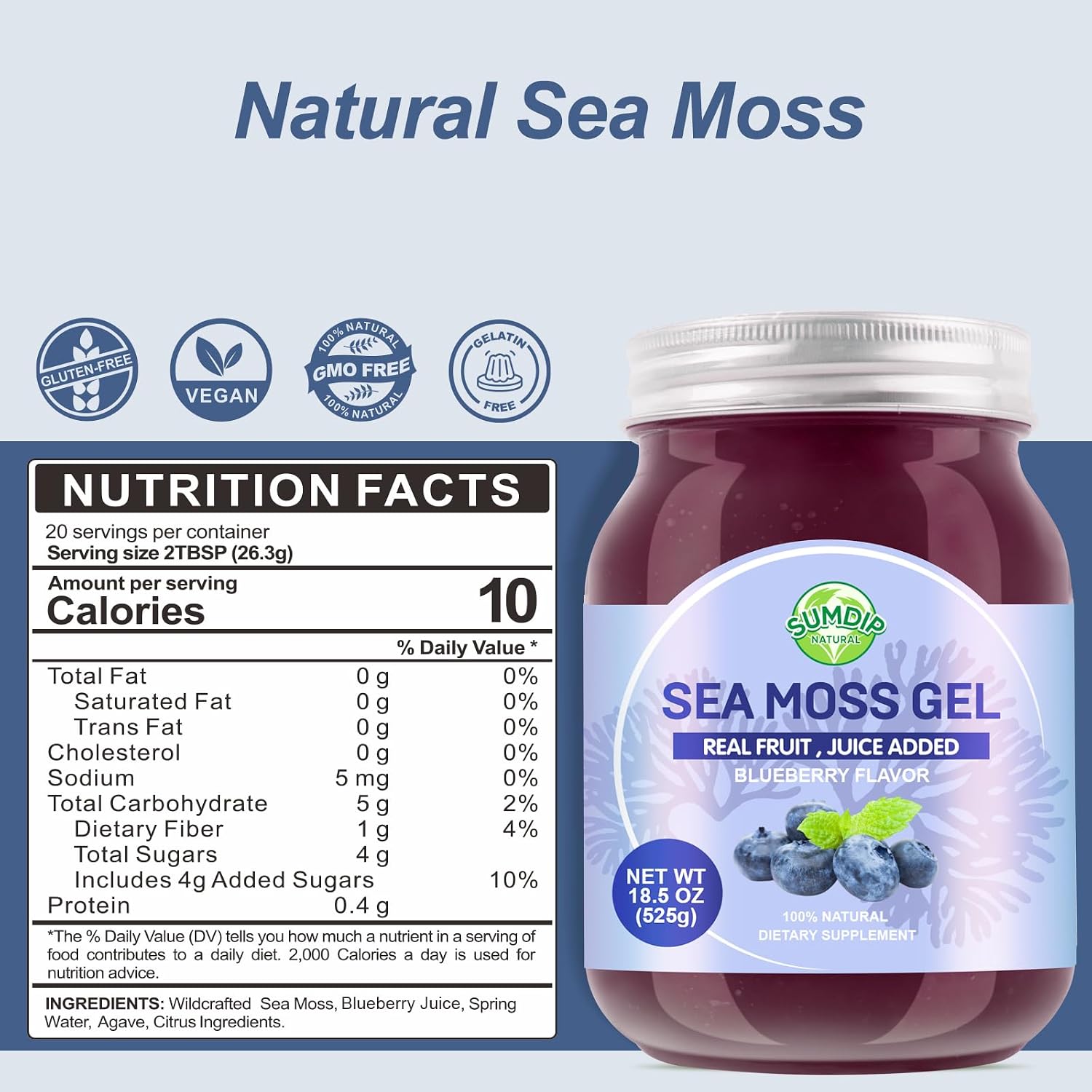 SumDIP Sea Moss Gel, Blueberry, 525g - Raw Irish Seamoss for Immune & Digestive Support - görsel 3