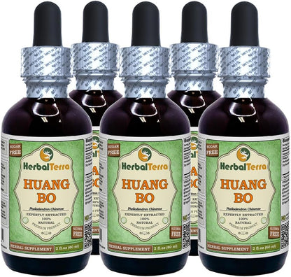 Huang Bo (Phellodendron Chinense) Tincture - Dried Bark Liquid Extract 60 ml