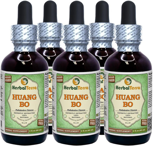 HerbalTerra Huang Bo (Phellodendron Chinense) Glycerite - Alcohol-Free Liquid Extract, 5x60 ml