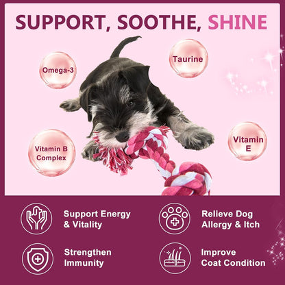Probiotics for Dogs, Dog Probiotics for Digestive Health, 6 Billion CFU, with Prebiotics & Digestive Enzymes, Pumpkin & Omega-3, Dog Diarrhoea Relief & Immune Support, Skin & Coat Care, 120 Soft Chews