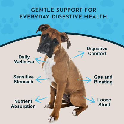 Animal Essentials Fresh Breath & Daily Digestion Supplement for Dogs & Cats, 60 ml - Organic Ginger & Mint, Alcohol Free