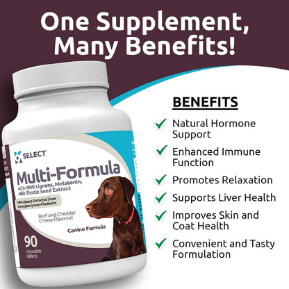 Multi-Formula Dog Vitamins for Large Dogs – 90 Beef Flavoured Chewable Tablets