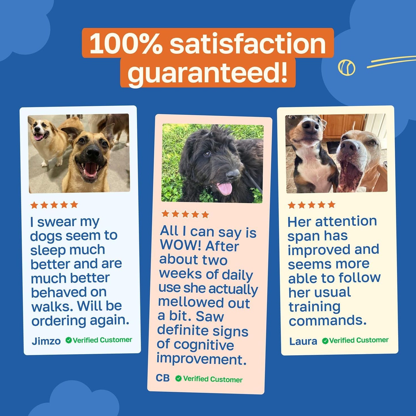 Happy Paws Cognitive Taurine Supplement for Dogs – Brain Health Soft Chews with Spirulina, CoQ10 & B Vitamins - görsel 5