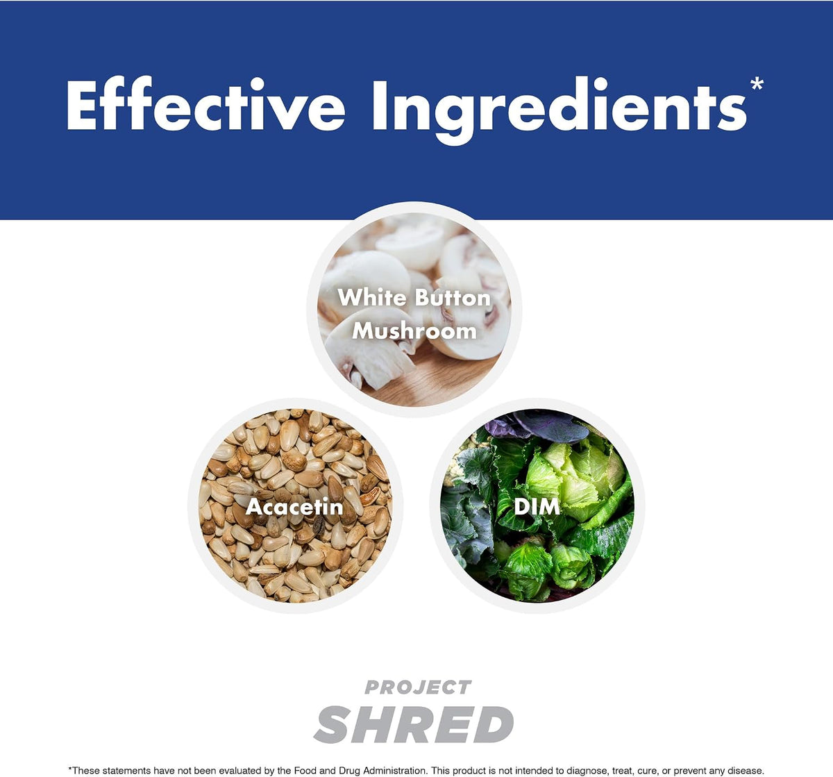 Anabolic Warfare Project Shred - Body Recomposition Formula with Botanicals - görsel 6