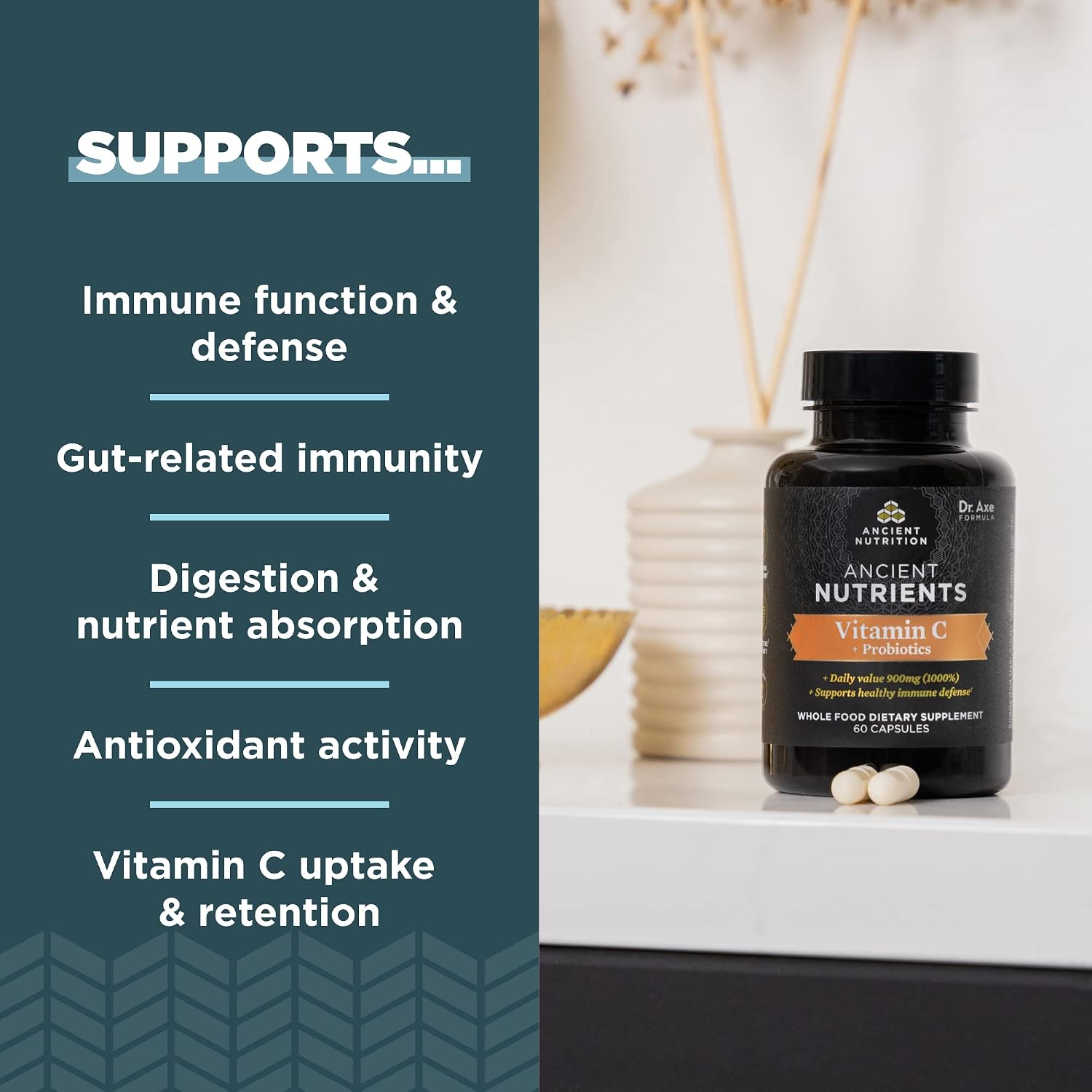 Ancient Nutrition Probiotics and Vitamin C Supplement – Whole Food Superfoods, Non-GMO, Paleo and Keto Friendly, 30 Servings - görsel 2