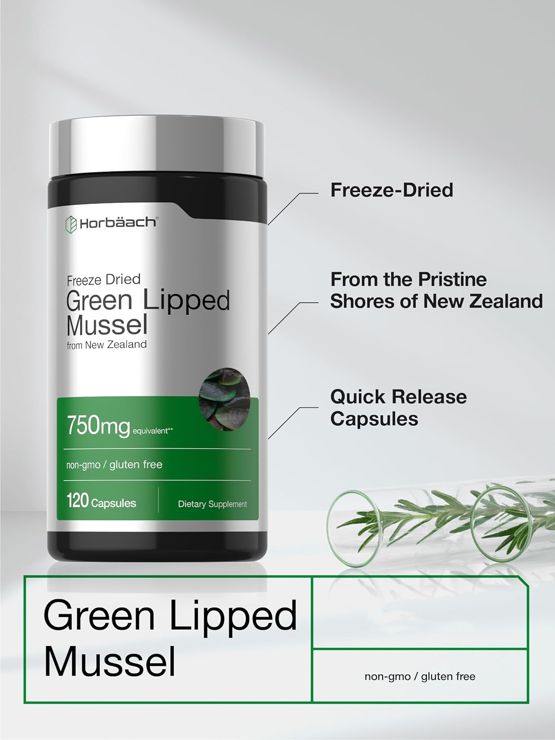 Horbäach Green Lipped Mussel, 120 Capsules, Freeze-dried from New Zealand - görsel 4