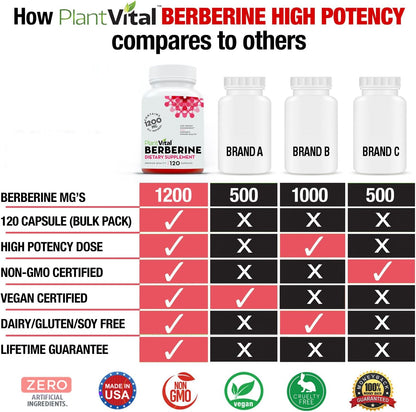 Plantvital Berberine 1200mg (2 Capsules per Serving) - Non-GMO Vegan Supplement for Immune & Heart Health, 240 Capsules