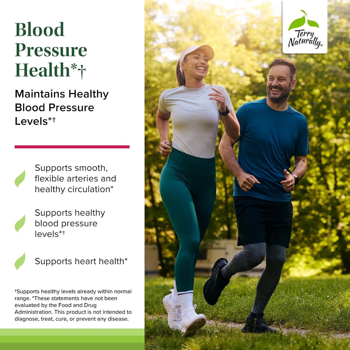 Terry Naturally Blood Pressure Health – Healthy Blood Flow & Circulation Support - görsel 3
