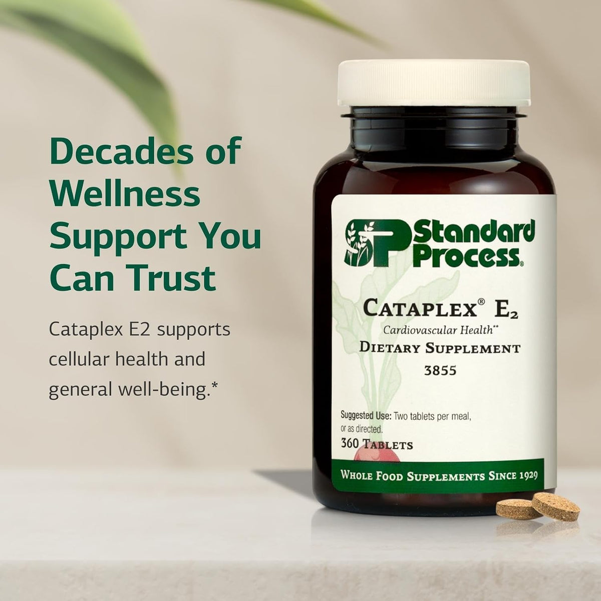 Standard Process Cataplex E2 – Whole Food Heart Food Supplement with Vitamin E & Selenium – 90 Tablets - görsel 3