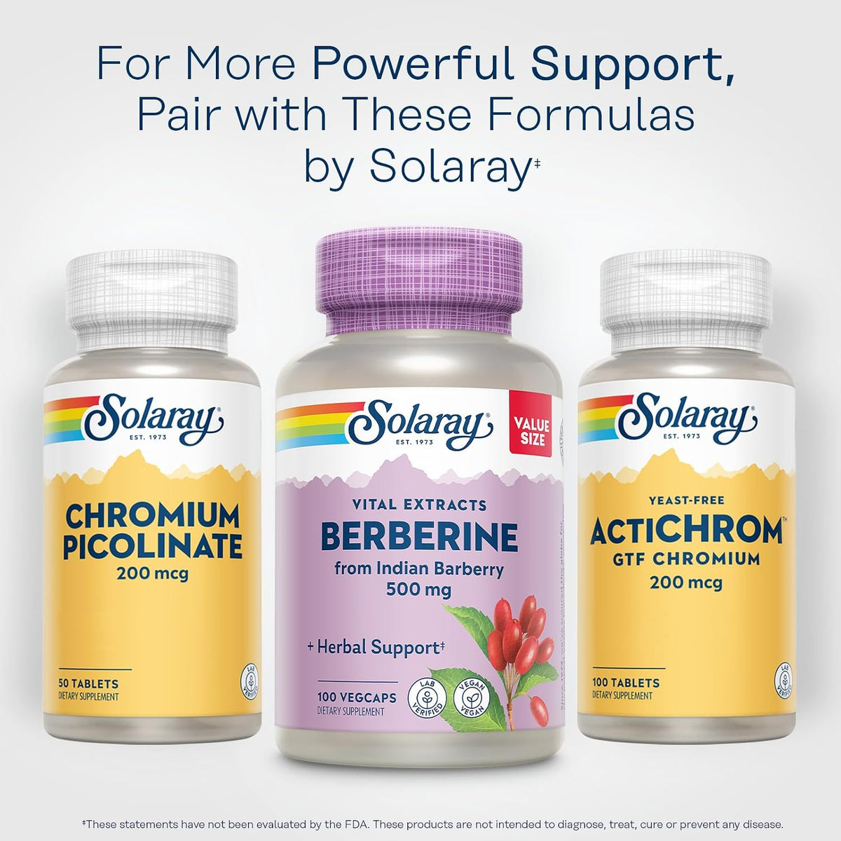 SOLARAY Berberine 500mg - Berberine HCl Food Supplement from Indian Barberry, Vegan, Non-GMO, 100 VegCaps - görsel 6