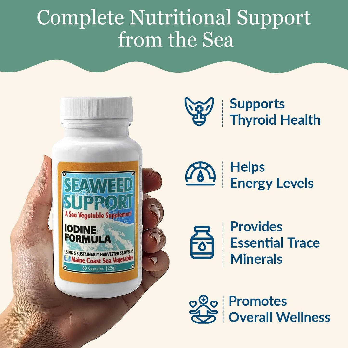 Maine Coast Sea Vegetables Seaweed Support Iodine Formula – Organic Seaweed Blend – 60 Capsules - görsel 4