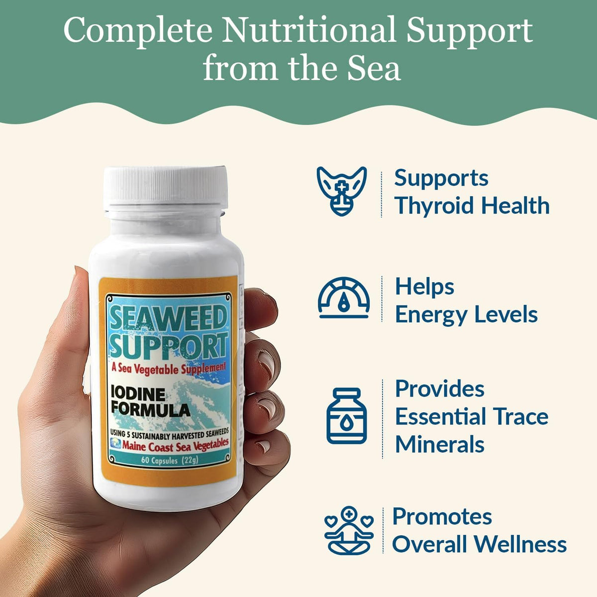 Maine Coast Sea Vegetables Seaweed Support Iodine Formula – Organic Seaweed Blend – 60 Capsules - görsel 4
