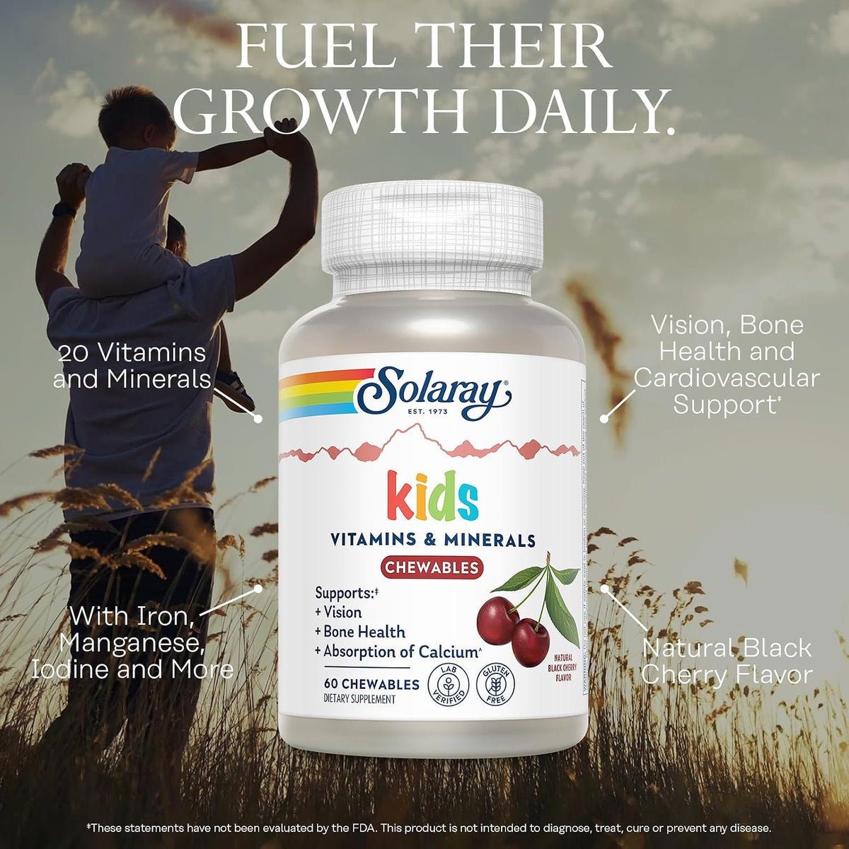 SOLARAY Children's Vitamins & Minerals Complete Multivitamin for Kids, Black Cherry, 60 Chewables - görsel 3