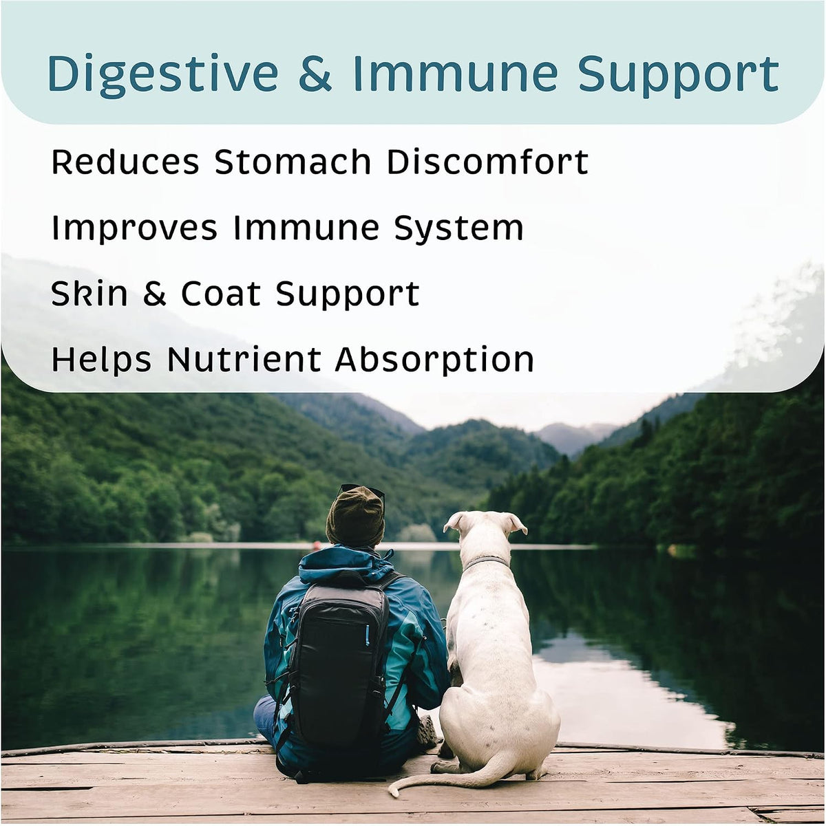 VetOne Advita Probiotic Nutritional Supplement for Dogs, 30 Sachets - görsel 6