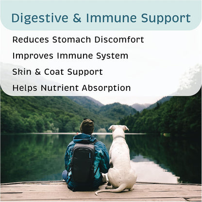 VetOne Advita Probiotic Nutritional Supplement for Dogs, 30 Sachets