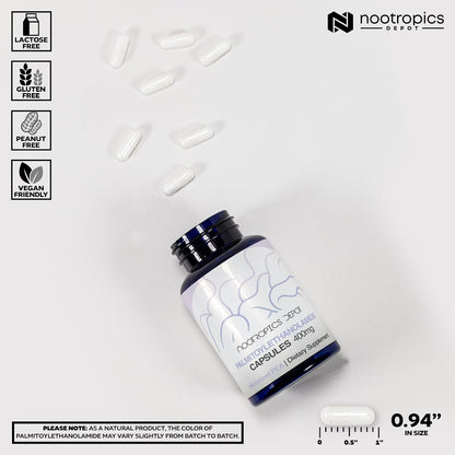 Nootropics Depot Palmitoylethanolamide (PEA) 400mg Capsules – Micronised for Enhanced Absorption – Joint, Nerve and Cellular Support – 180 Capsules