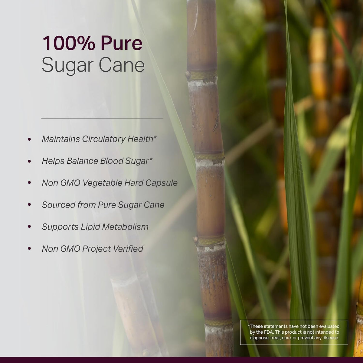 Anew Vita Policosanol Supplement - 40mg per Serving, Cuban Sourced Sugarcane, Non-GM, Gluten-Free - 120 Veggie Capsules - görsel 5