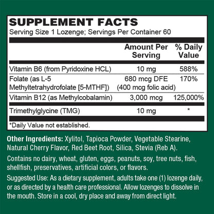 PlantFusion Vegan B12 Methyl 3000 mcg + Folate 400mcg - Sublingual Vitamins - Contributes to Normal Energy, Homocysteine & Nervous System Function - Cherry Flavour, 60 High Potency Lozenges for Fast Absorption