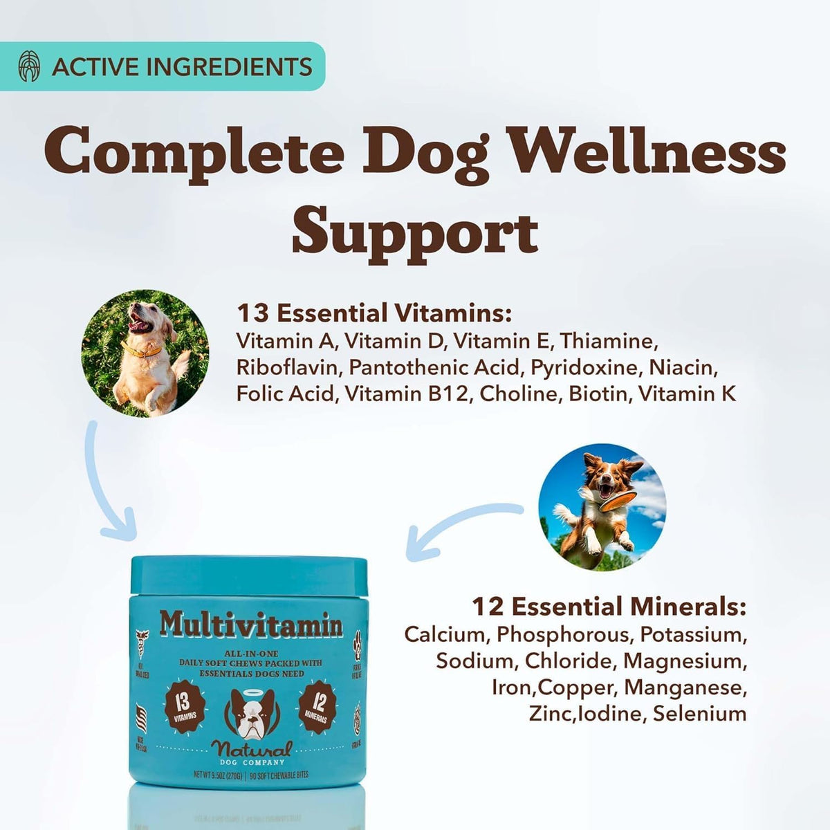 Natural Dog Company 25-in-1 Multivitamin for Dogs – Vet-Formulated Soft Chews for Puppies, Adults & Seniors, Supports Joints, Skin, Coat, Immune & Heart Health, NASC Certified, 90 Count - görsel 3