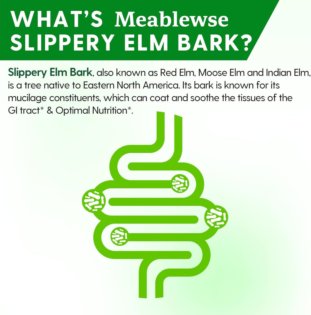 Meablewse Slippery Elm Bark Powder, 454g (349 Servings) - 100% Pure, Vegan, Non-GMO, Gluten-free - görsel 3