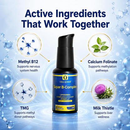 Cellqueue Liposomal Methyl B Complex Liquid – Active B Vitamin Formula with Methyl B12, Folate, TMG and Milk Thistle, 50 ml