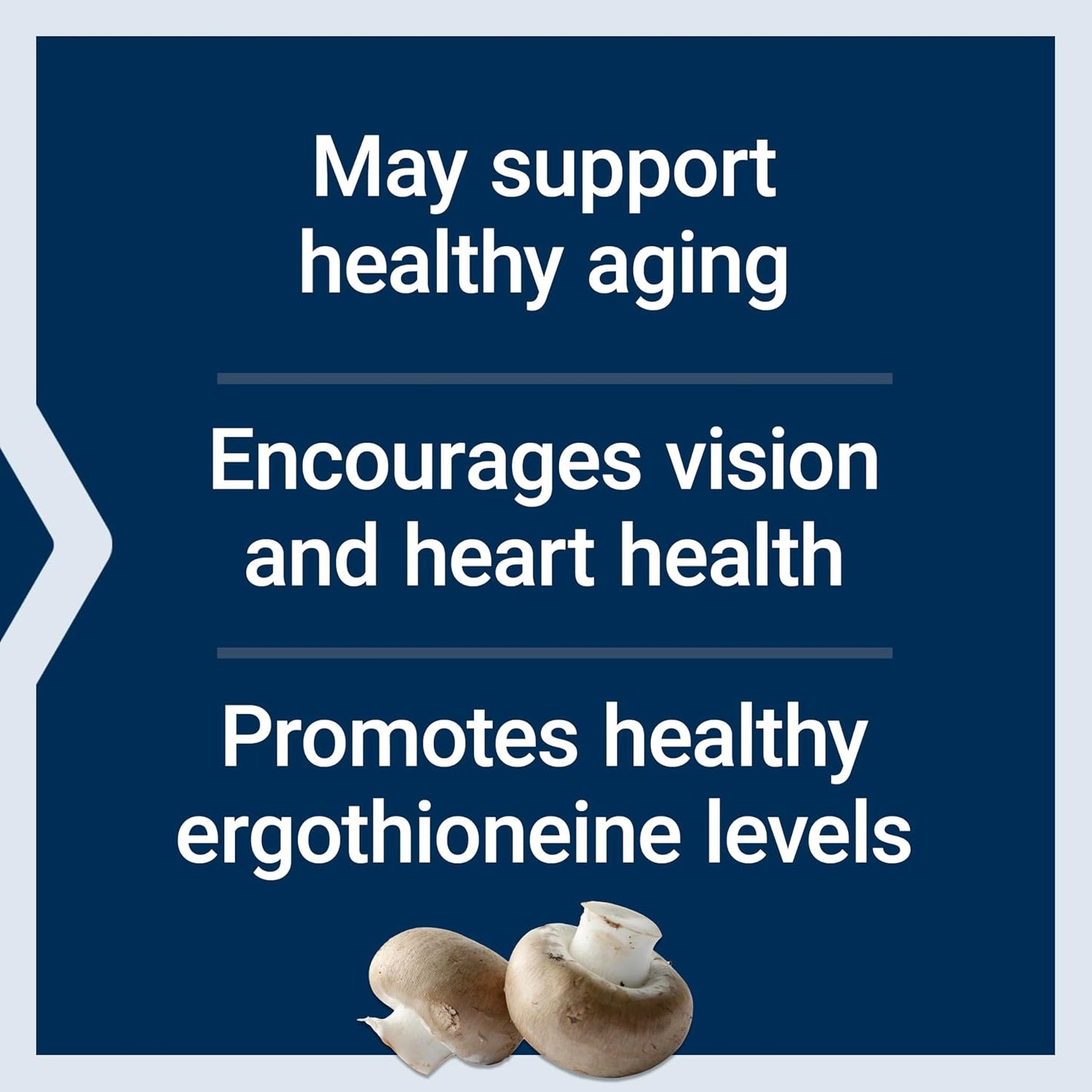 Life Extension Essential Youth L-Ergothioneine – Promotes Longevity & Healthy Ageing – 5 mg – 30 Vegetarian Capsules - görsel 4