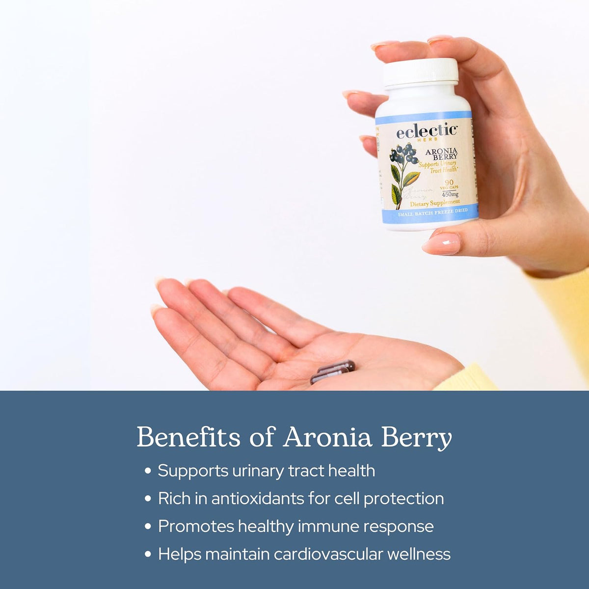 Eclectic Institute Raw Freeze-Dried Organic Aronia Berry Capsules - 90 Capsules (450 mg Each) - görsel 4