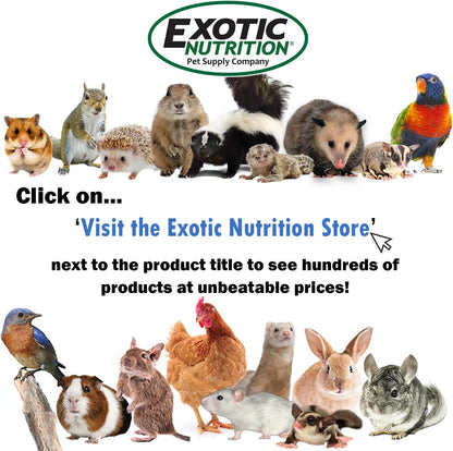 Exotic Nutrition Glider-Cal (99 g) - Calcium Supplement for Sugar Gliders - Supports Hind Leg Health