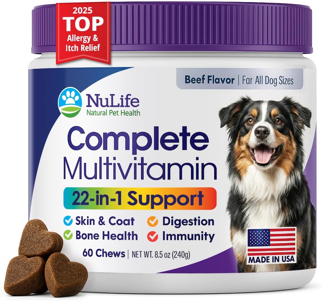 NuLife Natural Pet Health Dog Multivitamin Chewable - 22-in-1 with Green Lipped Mussel & Omega-3 - 60 Beef Chews - görsel 1