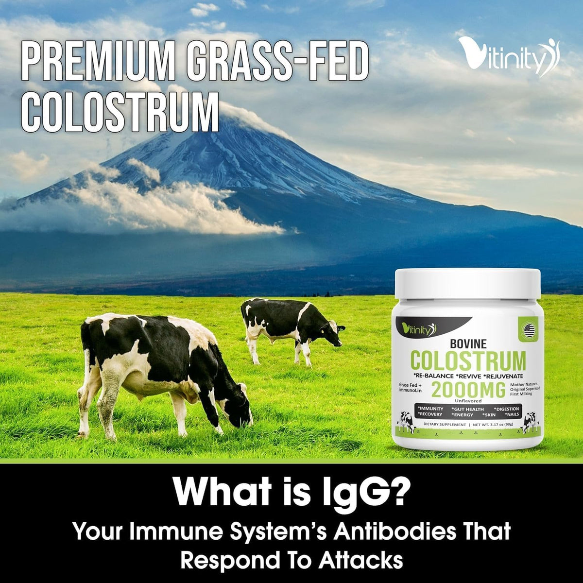VITINITY Grass Fed Bovine Colostrum Powder – Natural IgG Supplement for Gut Health, Immune Support & Muscle Recovery | Pure Colostrum Superfood, Unflavoured (90g) - görsel 5