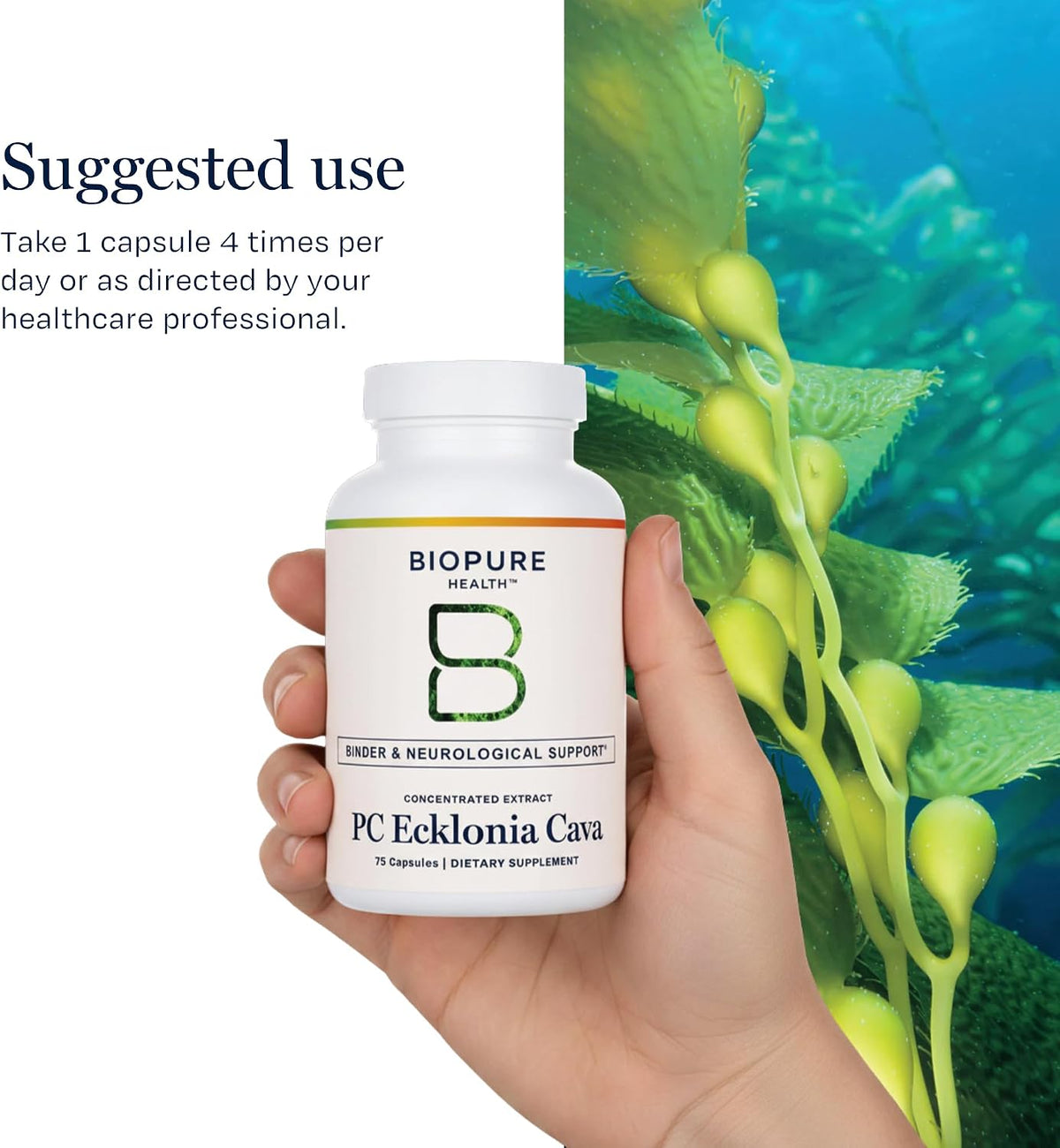 BioPure PC Ecklonia Cava Capsules – Marine Polyphenol Complex, 75 Capsules - görsel 6