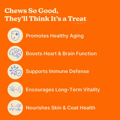 Furevery 11-in-1 Dog Multivitamin Chews – Chicken Flavour, Supports Immune, Joint, Coat, Heart & Energy – 60 Chews