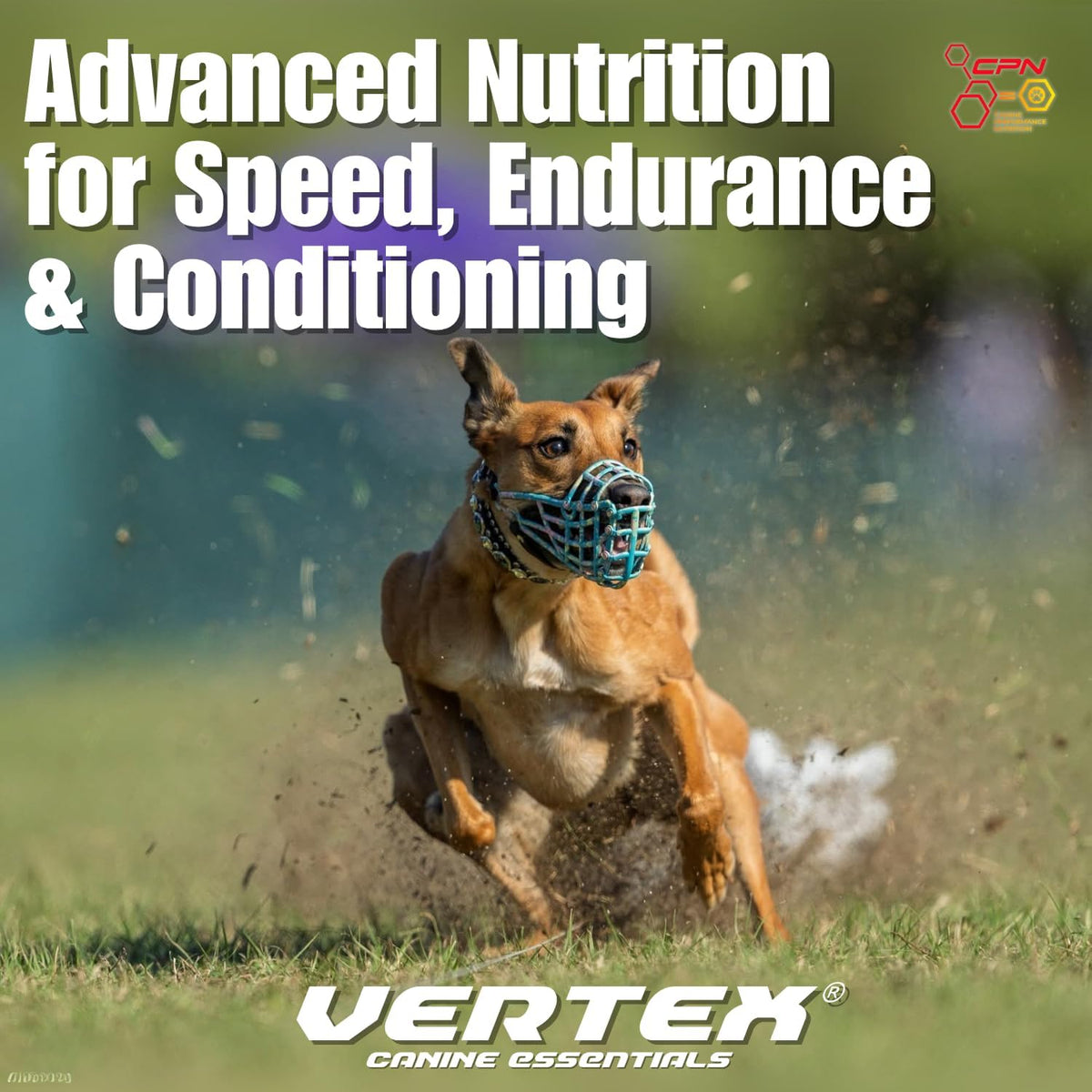 Vertex Canine Essentials High-Performance Dog Supplement – Predigested Liver, Whey & Egg Protein – Muscle Function, Recovery, Fertility & Milk Production – Active, Working & Breeding Dogs, 4.54 kg - görsel 3