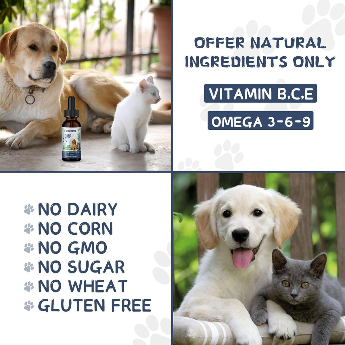 Organic Hemp Oil for Dogs and Cats - Omega-3 6 9 Supplement - Liquid Drops - görsel 5