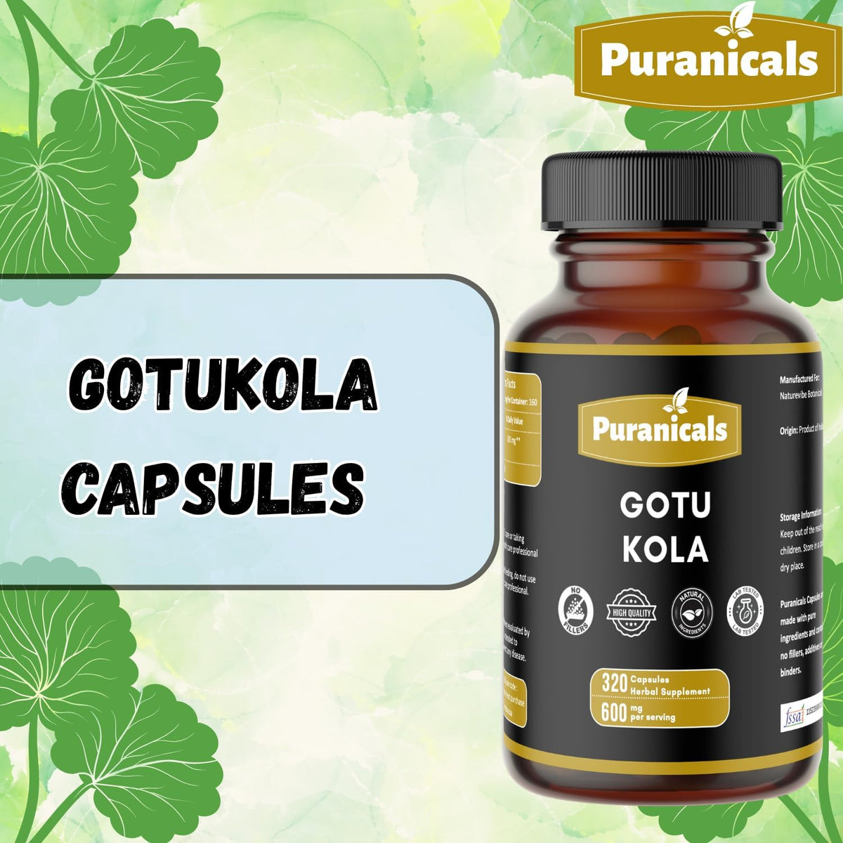 Gotu Kola Premium 320 Capsules – Non-GMO and Gluten-free | Herbal Supplement | 600 mg Per Serving | Made with 100% Pure Gotu Kola Powder - görsel 3