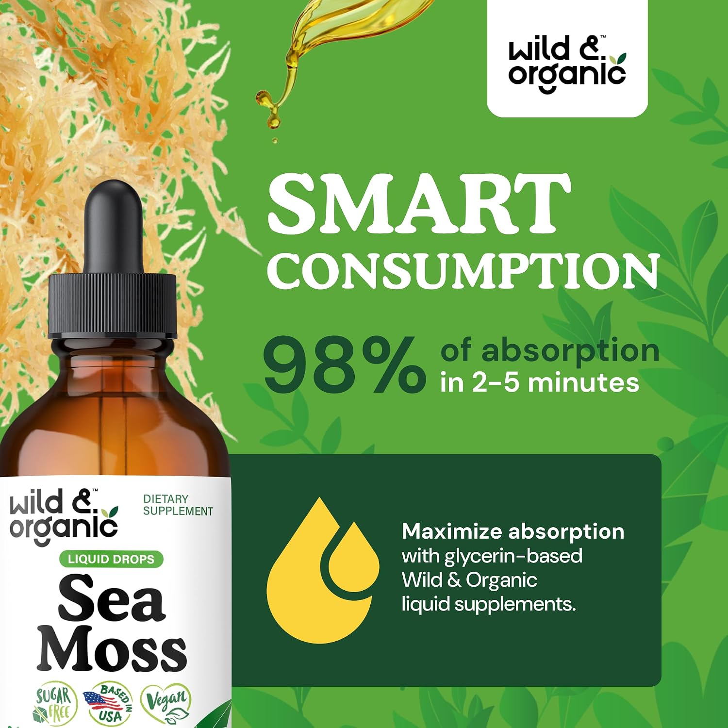 Wild & Organic Sea Moss Drops - Irish Sea Moss & Bladderwrack Liquid Tincture - Vegan, Alcohol-Free - 118 ml - görsel 4