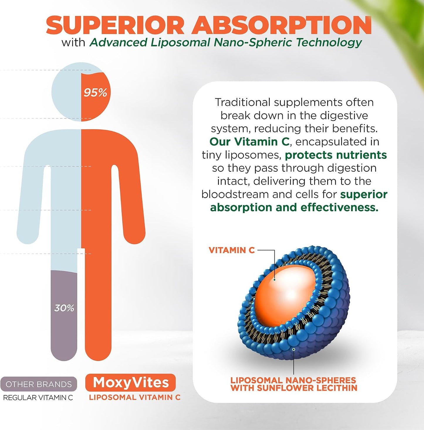Liposomal Vitamin C with Zinc Capsules - Immune Support, 1500mg per Serving, 180 Veggie Caps (3-Month Supply) - görsel 7