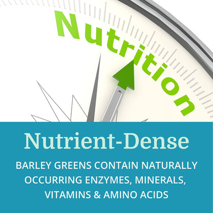 Alka•Green Tablets (2-Pack) - Organic Barley Grass Food Supplement by Morter HealthSystem