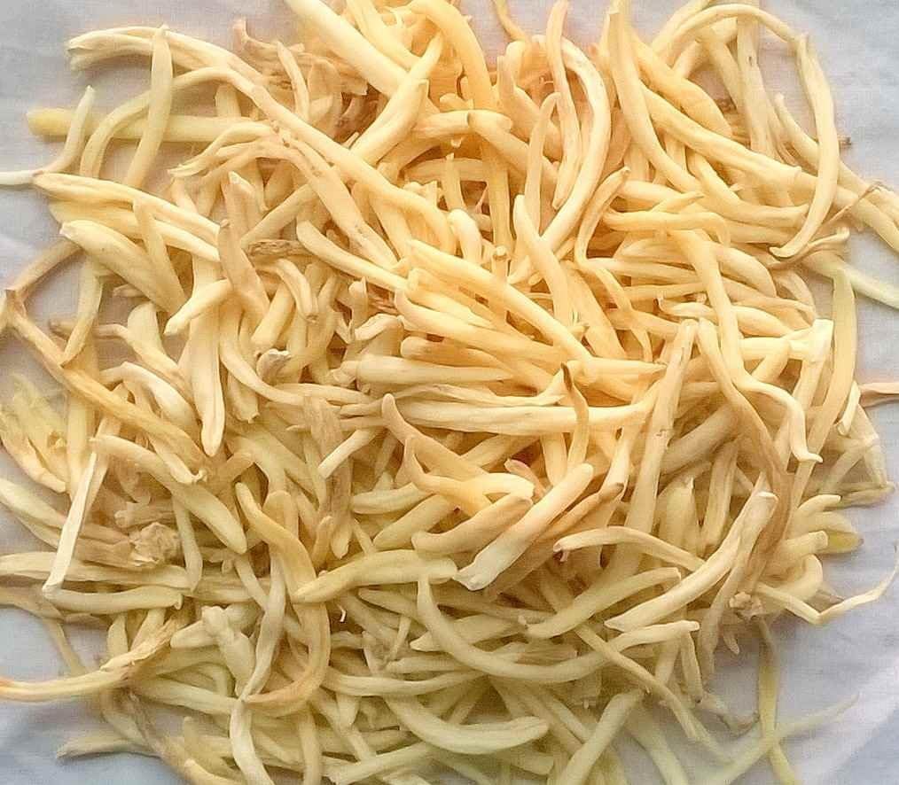 Divesh Store Safed Musli 100g - Chlorophytum Borivilianum Root - görsel 1