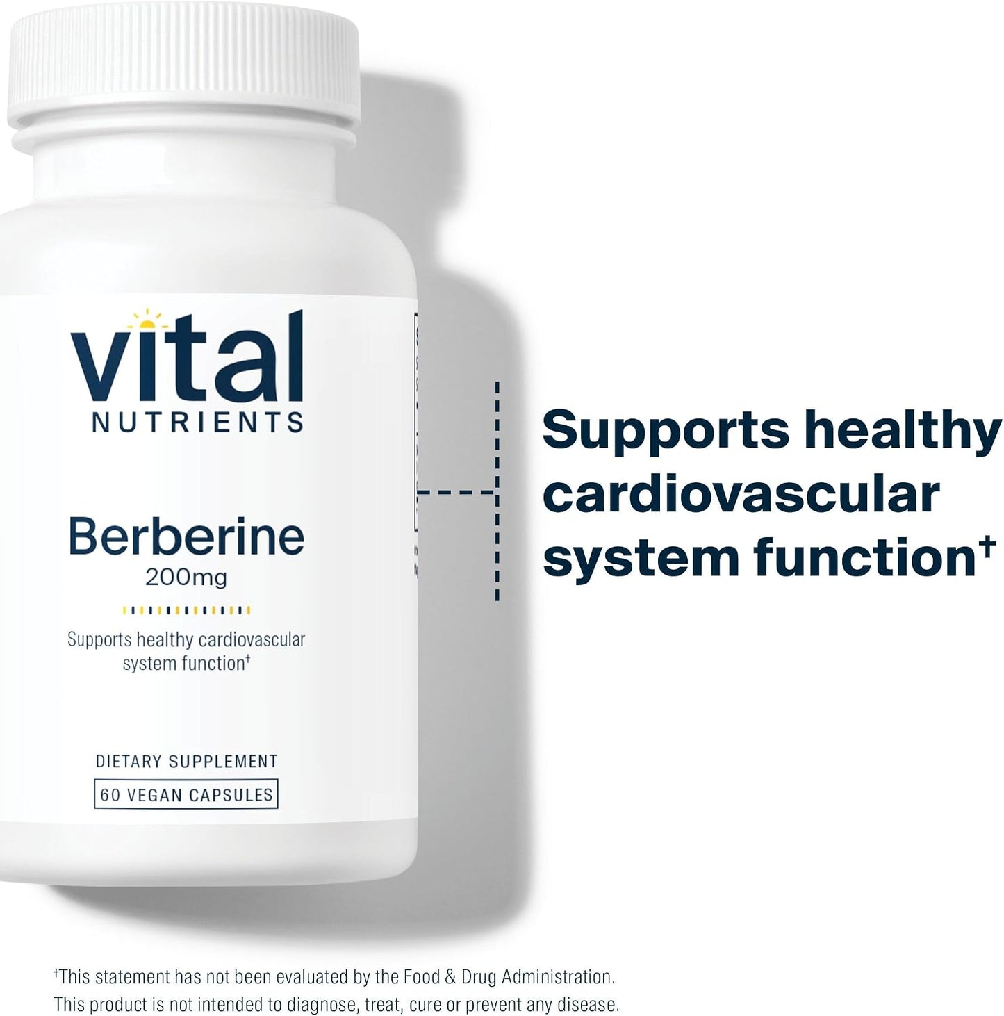 Vital Nutrients Berberine 200 mg – Vegan, Non-GMO, Gluten-Free Food Supplement - görsel 7