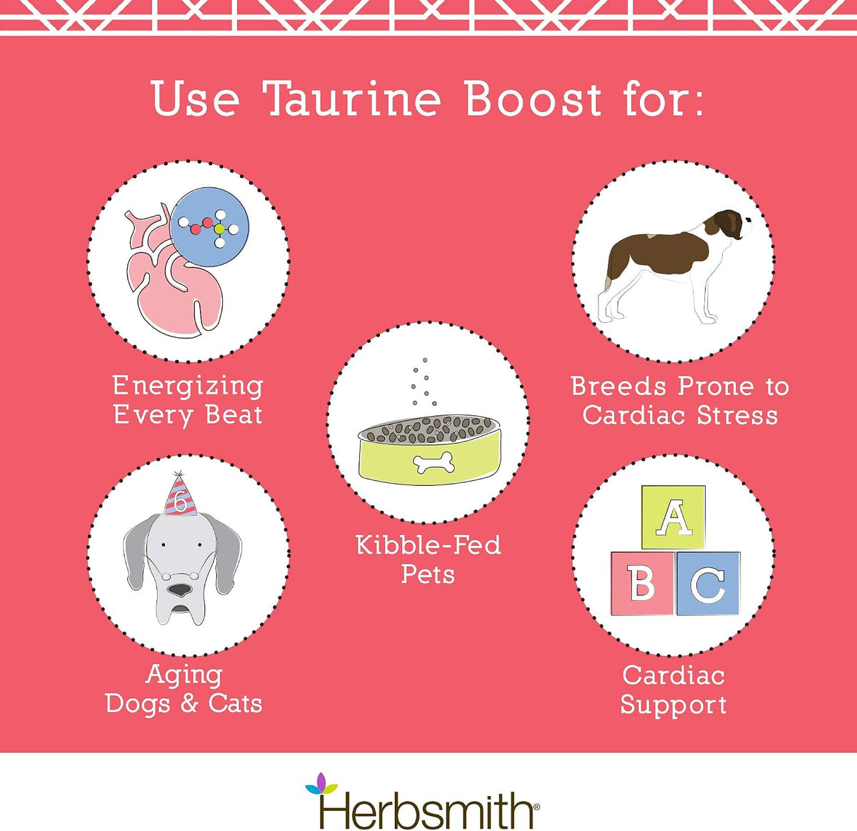 Herbsmith Taurine Boost - Cardiac & Heart Support for Dogs and Cats - 75g - görsel 5