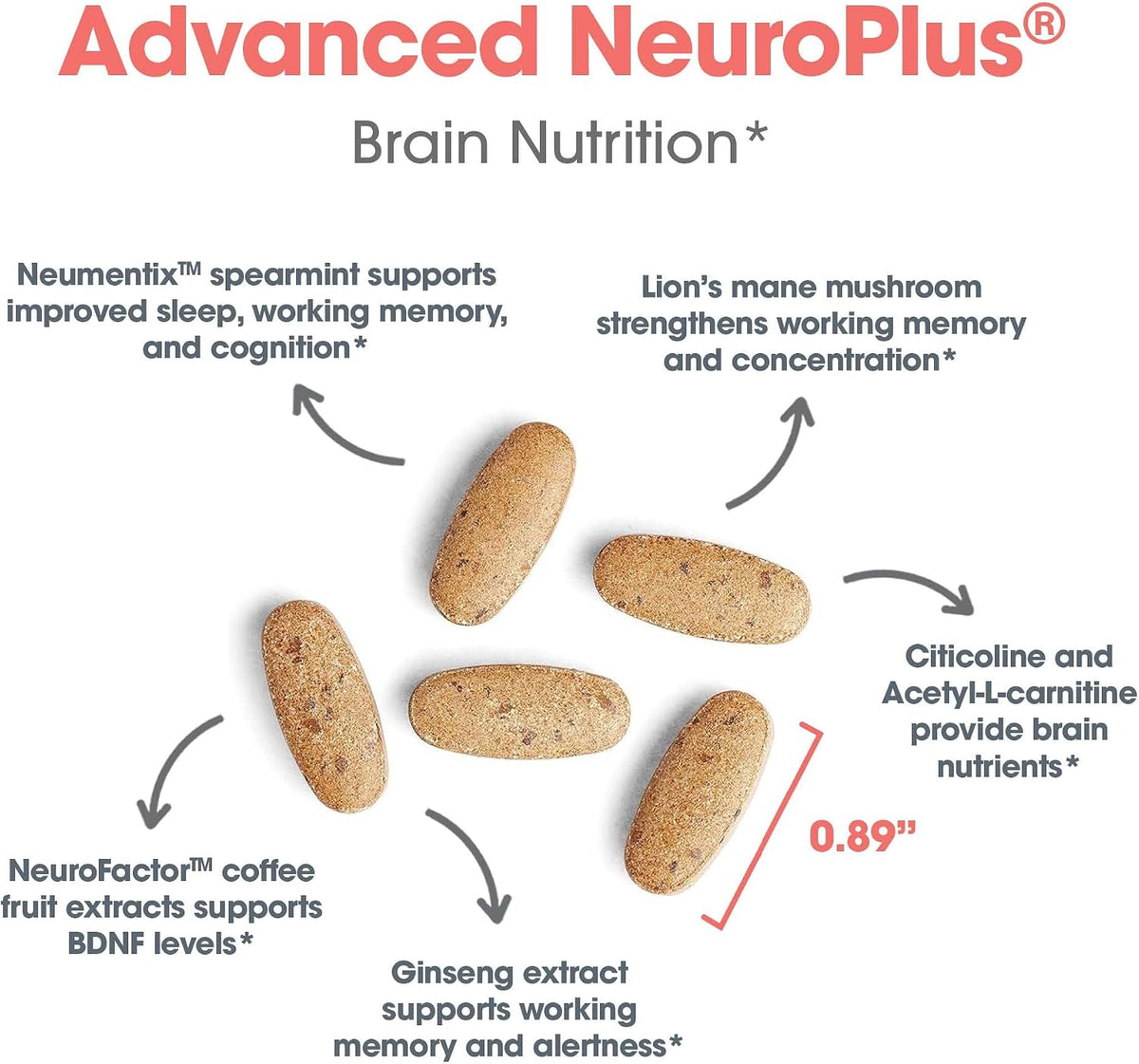 Allergy Research Group Advanced NeuroPlus - Nootropic Formula with Spearmint Extract, Lion's Mane & Citicoline - Supports Working Memory, Focus & Cognitive Function - 90 Tablets - görsel 5