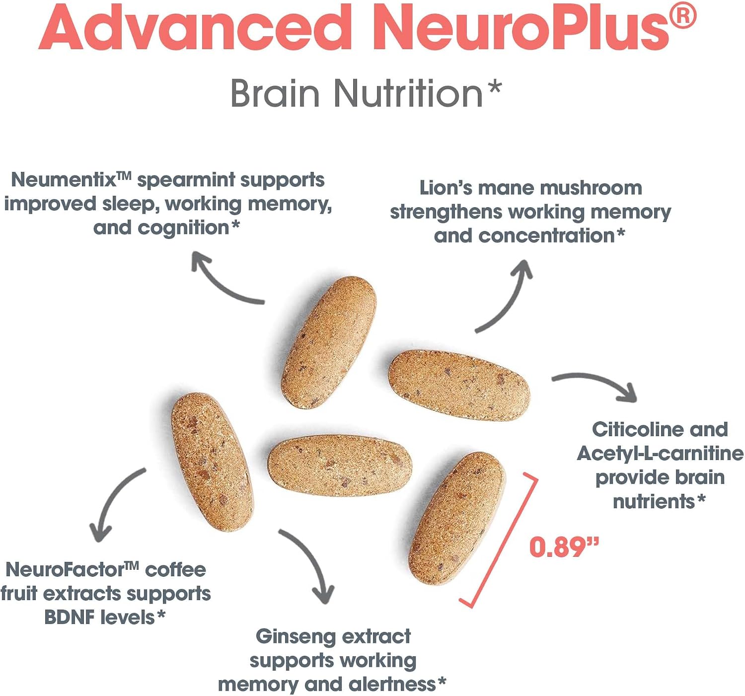 Allergy Research Group Advanced NeuroPlus - Nootropic Formula with Spearmint Extract, Lion's Mane & Citicoline - Supports Working Memory, Focus & Cognitive Function - 90 Tablets - görsel 5